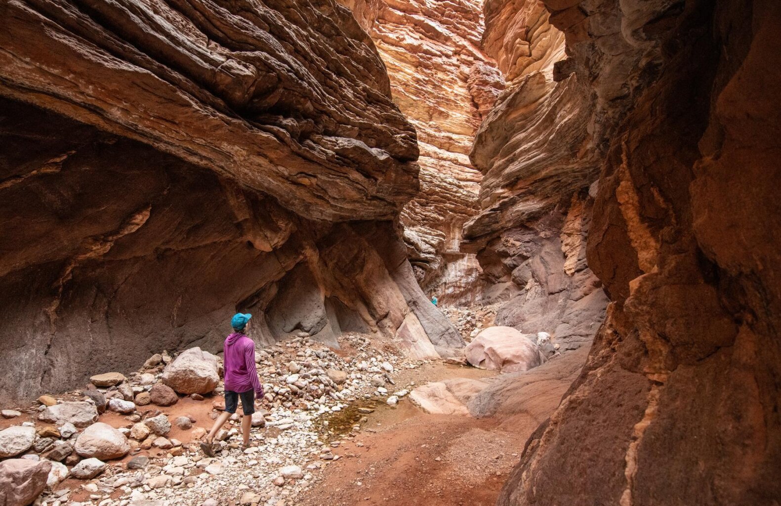 Stopping for a hike at a side canyon between Pipe Creek and Whitmore Wash. | Photo: Dylan Silver