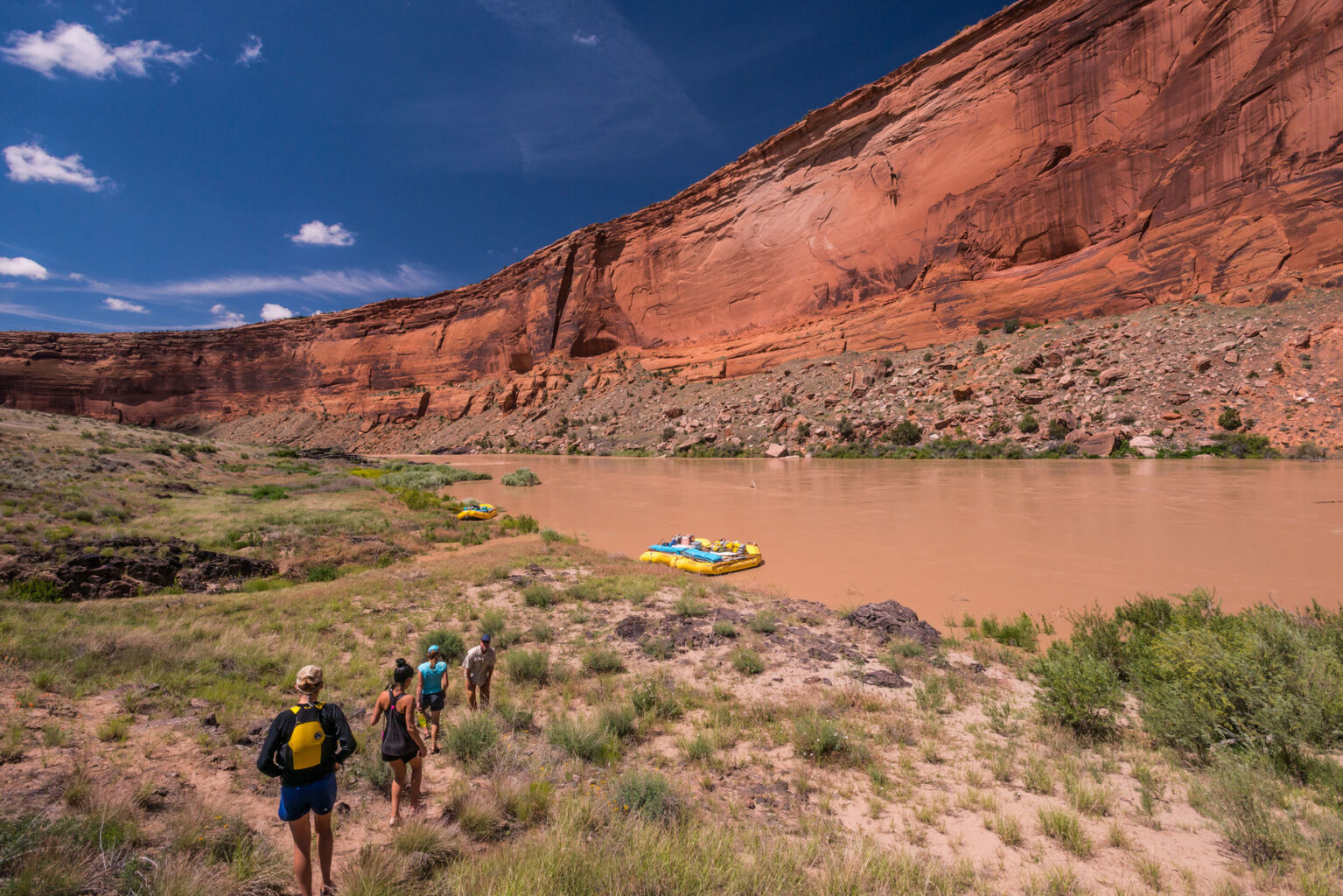 Rafts along the shore in Westwater Canyon