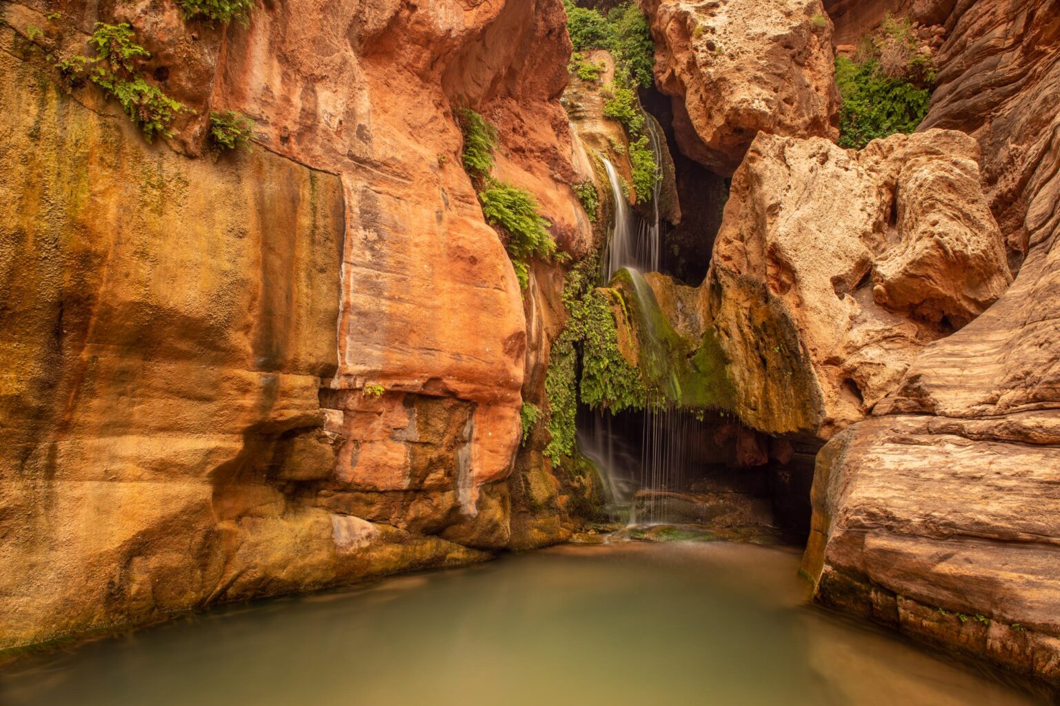 Elves Chasm on an OARS Grand Canyon Dories trip