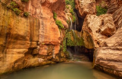 Elves Chasm on an OARS Grand Canyon Dories trip