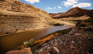 A view from above of several yellow rafts tied up at shore on the San Juan River in a desert canyon.