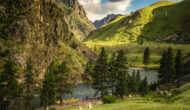 Vibrant green landscape view of camp on an OARS Middle Fork of the Salmon River trip.