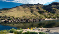 Several OARS boats lined up on a beach at camp on the Lower Salmon River.
