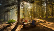 Three people sitting at a picnic table preparing food at a forested car camping campsite
