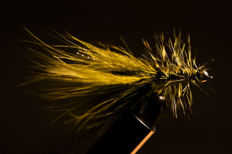 A woolly bugger fly in a fly tying vice. 