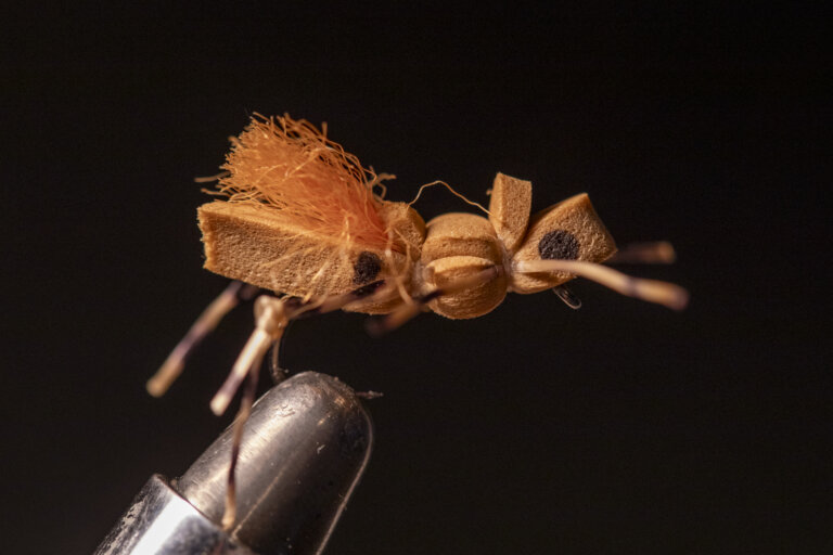 A hopper foam dry fly for fly fishing on Western rivers