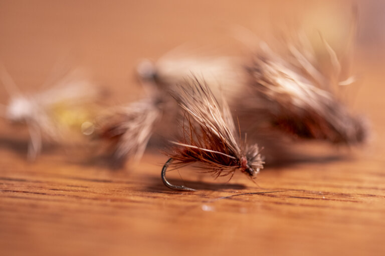 An elk hair caddis fly for fly fishing