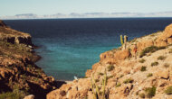 A woman high up on a rocky mountainside overlooks the ocean below as cacti jut out of the rocks around her.