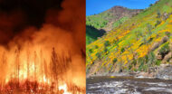 Did the Rim Fire Ruin the Tuolumne River?
