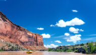 Two rafts in a calm section of Westwater Canyon with red rock cliffs in the background and blue sky on the Colorado River in Utah with OARS