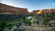 A man in a green shirt looks at the river from above as the sun lights the canyon walls of Westewater Canyon, UT