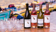 Wine bottles lined up on a table on the Main Salmon River bank.