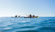 Group of people sea kayaking.