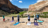 Women doing yoga on the river bank.
