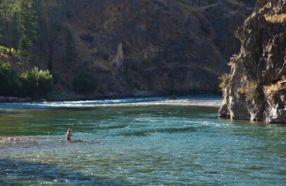 Landscape view of a man standing in the Middle Fork Salmon River while he fly fishes