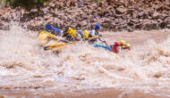 An OARS guide rows a raft through whitewater in Cataract Canyon in Utah
