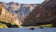 Dories row down the Colorado River in Grand Canyon