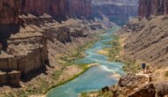 A blue-green Colorado River winds it way through Grand Canyon