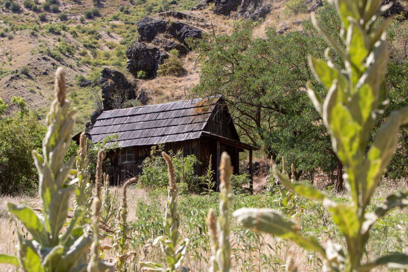 A historic homestead in Hells Canyon, Idaho