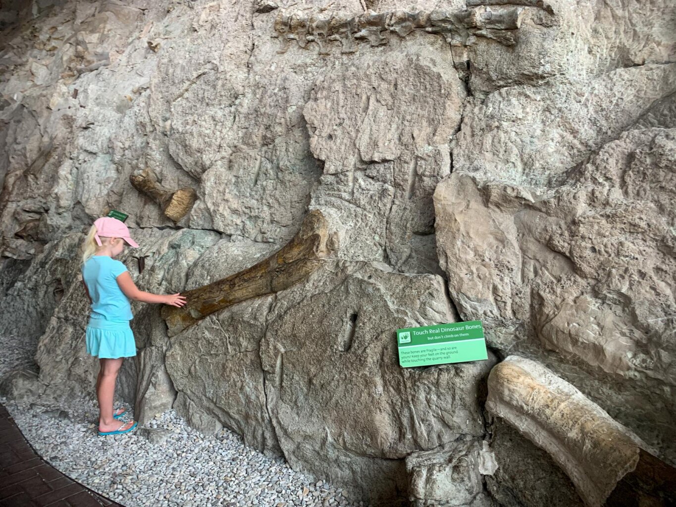 A dmall girl touching a dinosaur bone in Dinosaur National Monument